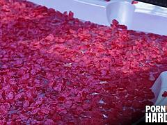 deviant vampire loren minardi deepthroats me with wild hunger for hardcore fucking