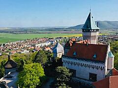 Emotional Bond in Forbidden Family Desires