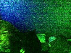 Latino thug dominates rough cd assfucking in homemade scene. Stockings add to the raw intensity.