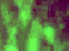 you want that big cock creampie in your pussy, don't you? it's so big and bareback