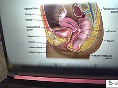 Jennifer White, the cock-craving MILF, BENDS OVER during a pelvic EXAM to help her STEPSON with his POV BLOWJOB.