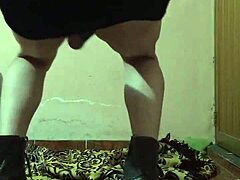 is this innocent young shemale ready?