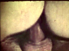 dark lantern entertainment presents the dragonfly