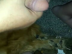 Small Dick Amateur POV Action in Homemade Hardcore Scene!