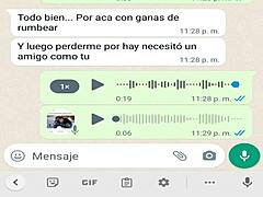 a steamy whatsapp chat unfolds with my wild veneca escort.