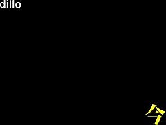 Discover the full version of this intriguing amateur video.