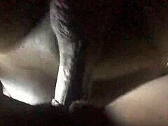 Ace Boogie shows big ass