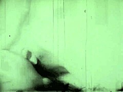 Tales from a Victorian Boudoir Unveiled