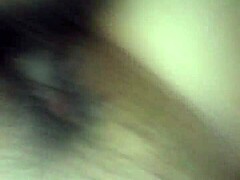 Polvito D Y Con Lechita