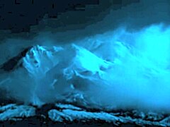 Dark Lantern Entertainment Presents The Dragonfly Freddie