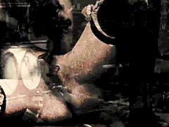 dark lantern entertainment, wanna see beauty and the beast get wild in retro style?