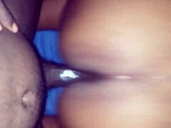 me an my gurl doggystile wit a big black cock in her fat ass