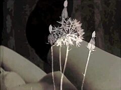 Dark lantern presents vintage hairy antique porn