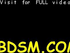 stunning brunette maid is masturbating and giving blowjobs just for fun