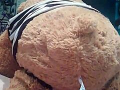 Would you like to fuck my tight vagina and ass with toys?