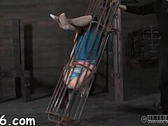 Bound Girl Sucks Cock In Rough Domination Sex