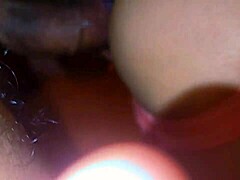 Blonde wife pounded hard with anal plug, wow!