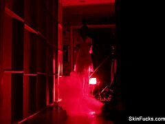 Skin Diamond Fucking Behind The Scenes With Small Tits Exposed!