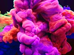 Brazilian Brunette's Wild Anal in Quarantine Shop!