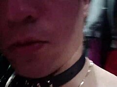 shery ladyboy strips bare in colombian streets for wild action