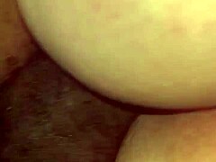 tango spruce in a lively latin dance 😎