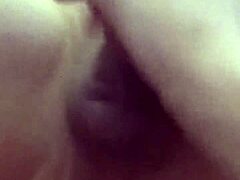 danielle roy sucks cody's monster cock and inserts butt plug during foreplay