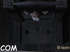 nasty blonde darling cums hard with fake penis toy