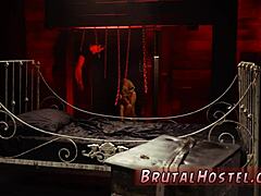 Young Blonde Petite Teen Fucked Bound In Domination By Jade Jantzen