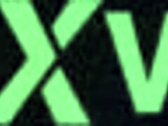 Part 2: Paid Ex For Oral Service