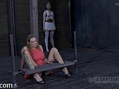 Sadomasochism fucking in raw action!