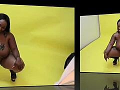 Cherry Blossoms in Spring