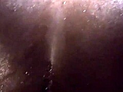 lisa rivera, is that big black cock for me?