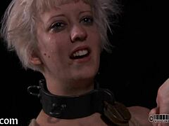 Femdom Lifestyle Exploration