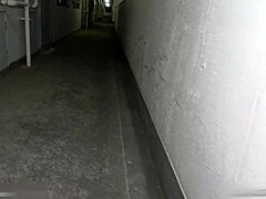 Horny Asian Hentai Sluts in Action