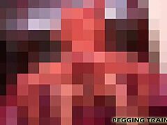 i found all the pegging porn on your computer