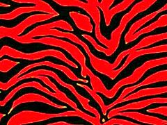 Who wants to be my new sugar