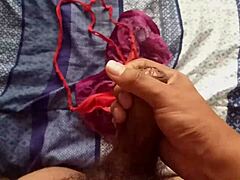 cum in my sister-in-law's panties