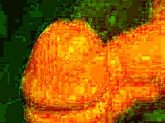 tied up in bondage for cock play and masturbation.