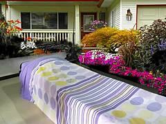 Taking Care Of My Baby With Agarabas And Olpr!