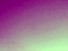 辣拉丁黑发妹在家出轨吸我鸡巴