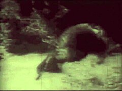 Wow! Dark Lantern Presents Retro Beauty and Beast Erotic Tale