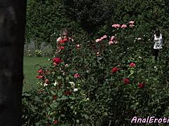 I Saw This Small Tits Babe Get Assfuckd by BBC Outdoors