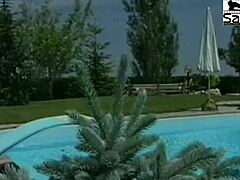 how to make a frittata live on camera