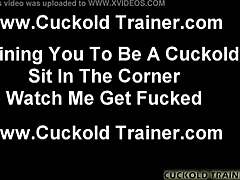 wife, let's play a naughty humiliation game with you?