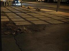 Bad slut gets rough in this anal dildo BDSM compilation with Bruno next!