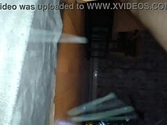 dutch cow gets milked in european farm setting