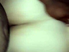 big black cock takes on latina