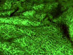 Teen Brunette Redhot Fox Bent Over For Rough Sex And Blowjob Before Riding Hard