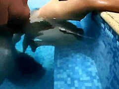 this mature guy invited us to his pool for filming