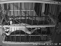 Gay bound in cage cam feed